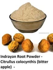Image of Indrayan Root Powder Root of the Citrullus colocynthis (bitter apple) plant