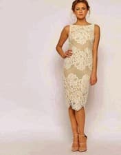 Image of COAST MOISELLE CREAM BLUSH PINK NUDE LACE PENCIL MIDI DRESS 12 £135 BNWT