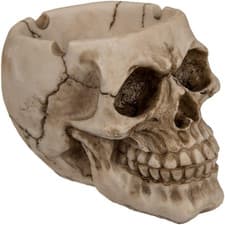 Image of Skull Ashtray, Polyresin, Multi-Colour, 10 X 6 X 12 Cm