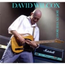 Image of DAVID WILCOX: BOY IN THE BOAT - CD *BRAND NEW*