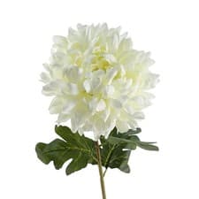 Image of Silk Chrysanthemum Stem White Extra Large 75cm Single Head 20cm Bloom TableDecor