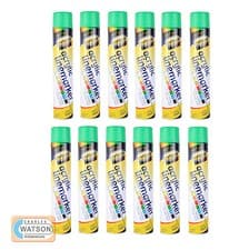 Image of LINE MARKER Spray Paint Survey Field 750ml Grass Pitch Aerosol Marking BOX 6 12