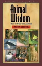 Image of Anita Curtis Animal Wisdom (Paperback)
