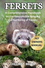 Image of Ferrets: A Comprehensive Handbook on the Responsible Keeping and Nurturing of Fe