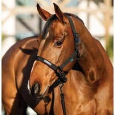 Image of Horseware Amigo Headcollar and Leadrope Set - Black