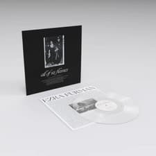 Image of Ezra Furman : All of Us Flames VINYL 12" Album (Clear vinyl) (Limited Edition)
