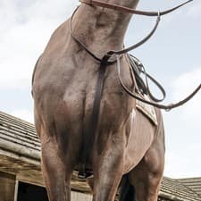 Image of Whitaker Ready To Ride Pre-Oiled EasyCare Leather Running Martingale Black/Brown