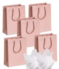Image of MATT LAMINATED PARTY GIFT BAGS MEDIUM ~ BIRTHDAY PRESENT BAG PLUS 2 TISSUE PAPER