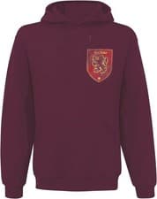 Image of Officially licensed Harry Potter Gryffindor Hoodie Maroon Hoodie with backprint