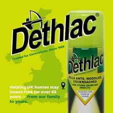 Image of Dethlac Ant Killer Spray 250ml Insecticidal Lacquer Crawling Insect Killer