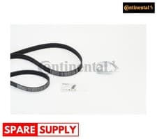 Image of V-RIBBED BELT SET FOR FORD C-MAX FOCUS C-MAX CONTINENTAL CTAM 6PK1059 ELAST T2