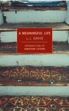 Image of A Meaningful Life, Davis, L J,  Paperback
