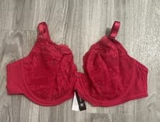 Image of Ann Summers- Sexy Lace Planet Non Pad Bra Size 44DD -  New With Tags