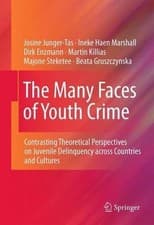 Image of The Many Faces of Youth Crime - 9781441994547