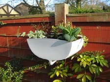 Image of Wall planter
