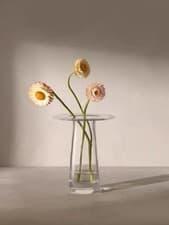 Image of LSA International Victoria Glass Vase Clear H15cm