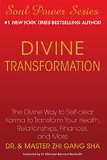 Image of Divine Transformation: The Divine Way to Self-Clear Kar - Paperback NEW Sha, Dr
