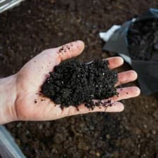 Image of T&M Ericaceous Compost For Acid-Loving Plants For Good Plant Health 1x 25L Pack