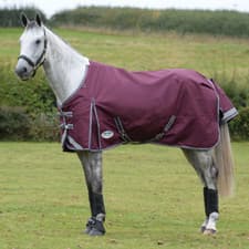 Image of Weatherbeeta Comfitec Plus Dynamic II Standard Neck Medium/Lite