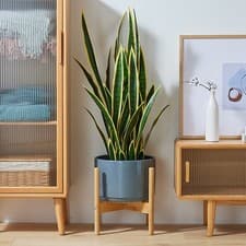 Image of Large 35cm Indoor Plant Pot Stand Brown Tribal Cement 35cm Pot Holder Planter UK