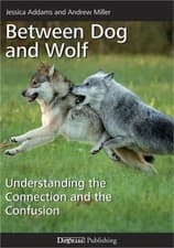 Image of Between Dog and Wolf: Understanding the Connection and the Confusion (Paperback