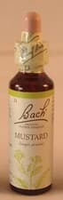 Image of Bach Flower Remedies 20ml. All 38 Remedies from the Original Company of Dr Bach