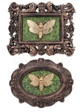 Image of Death's Head Moth Macabre Mount Baroque Wall Plaques