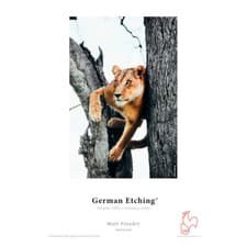 Image of Hahnemuhle German Etching 310 | A3 - 25 Sheets