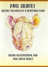 Image of Silence Followed By A Deafening Roar Guitar DVD Mascot Music