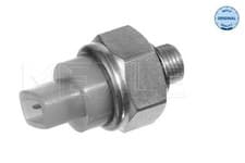 Image of MEYLE 100 919 0027 Coolant Temperature Sensor 2 Pins NTC Sensor Fits Audi VW