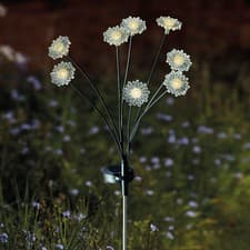 Image of Smart Solar Warm White Set of 8 Flora Stem Lights