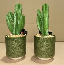 Image of 2 x 23cm Artificial Cactus Plant Potted in Green Ceramic Planter