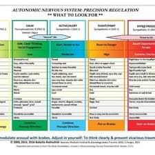 Image of Autonomic Nervous System Table: Laminated Card by Babette Rothschild (English) C