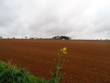 Image of Photo A3 Fallow field near Wheatley Wheatley/SP5905 Showing the red col c2014