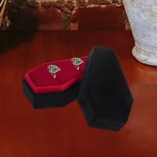 Image of Halloween Jewelry Box Coffin Shaped Holder Gothic Jewelry Storage Case