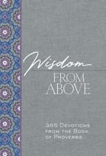 Image of Wisdom from Above: 365 Devotions from the Book of Proverbs by Brian Simmons (Eng