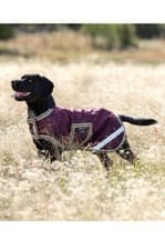 Image of Horseware Amigo Dog Ripstop Rug - Burgundy - Small
