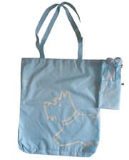 Image of ICON RADLEY RESPONSIBLE FOLDWAY BAG