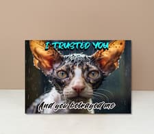 Image of Funny Cat Meme Cat Bathtime "I Trusted You.." Printed on Sheet Metal Sign