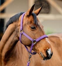 Image of Horseware Amigo Headcollar & Leadrope