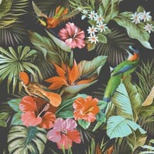 Image of Rasch Vasari Tropical Paradise Birds Multi Black Wallpaper Luxury Textured Vinyl
