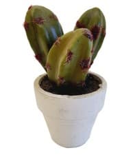Image of Artificial Cactus In Ceramic Pot Faux Plant, Nature, Landscape, Decoration
