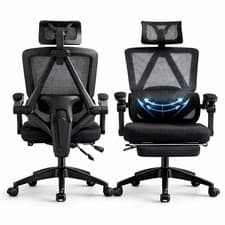 Image of Executive Office Chair - Mesh Back Lumbar Support with Adjustable Headrest