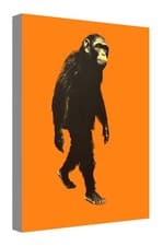 Image of monkey orange canvas wall art Wood Framed Ready to Hang small XXL