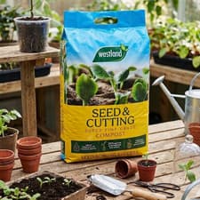 Image of Westland Seed & Cutting Compost Nutrient Balanced Indoor Outdoor Plant Soil 25L