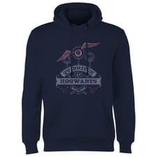 Image of Official Harry Potter Quidditch at Hogwarts Adults Hoodie Navy