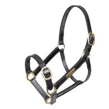 Image of Shires Velociti GARA Fully Adjustable Leather Headcollar - Black