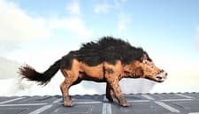 Image of Andrewsarchus - Ark Survival Evolved XBOX ONE OFFICIAL PVP SERVERS