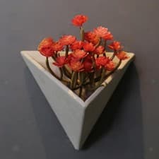 Image of Wall Planter Flowerpot Planter Plant
