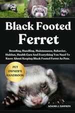 Image of Black Footed Ferret: Breeding, Handling, Maintenance, Behavior, Habitat, Health